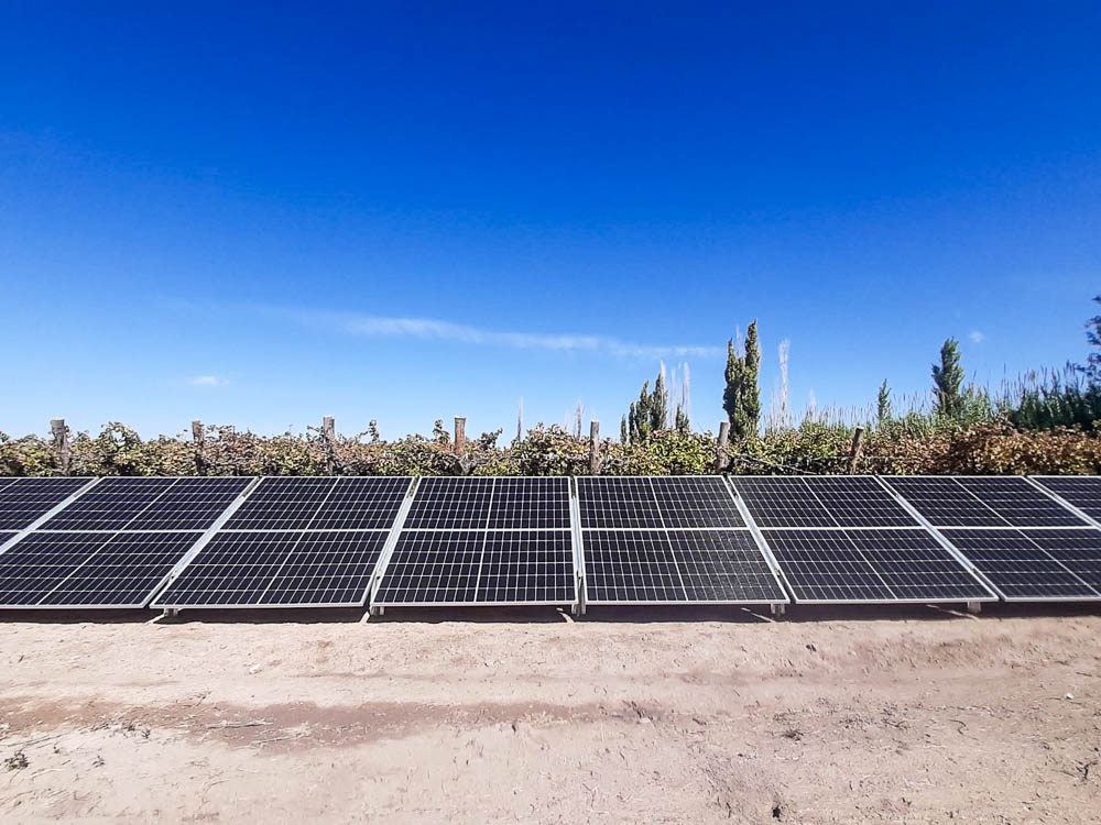 Finca Desafío del Inmigrante 1